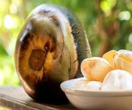 Kelapa Laut TAKEAWAY
